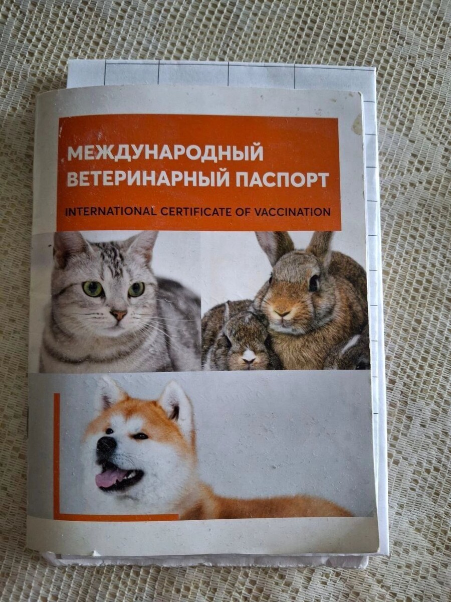     Автор: Анна Скудаева Источник: 1MI