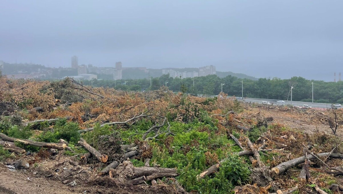     Источник: vostokmedia.com