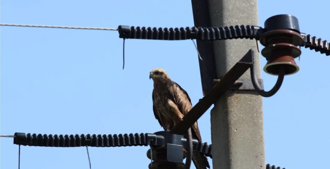    Фото: nsk.bfm.ru