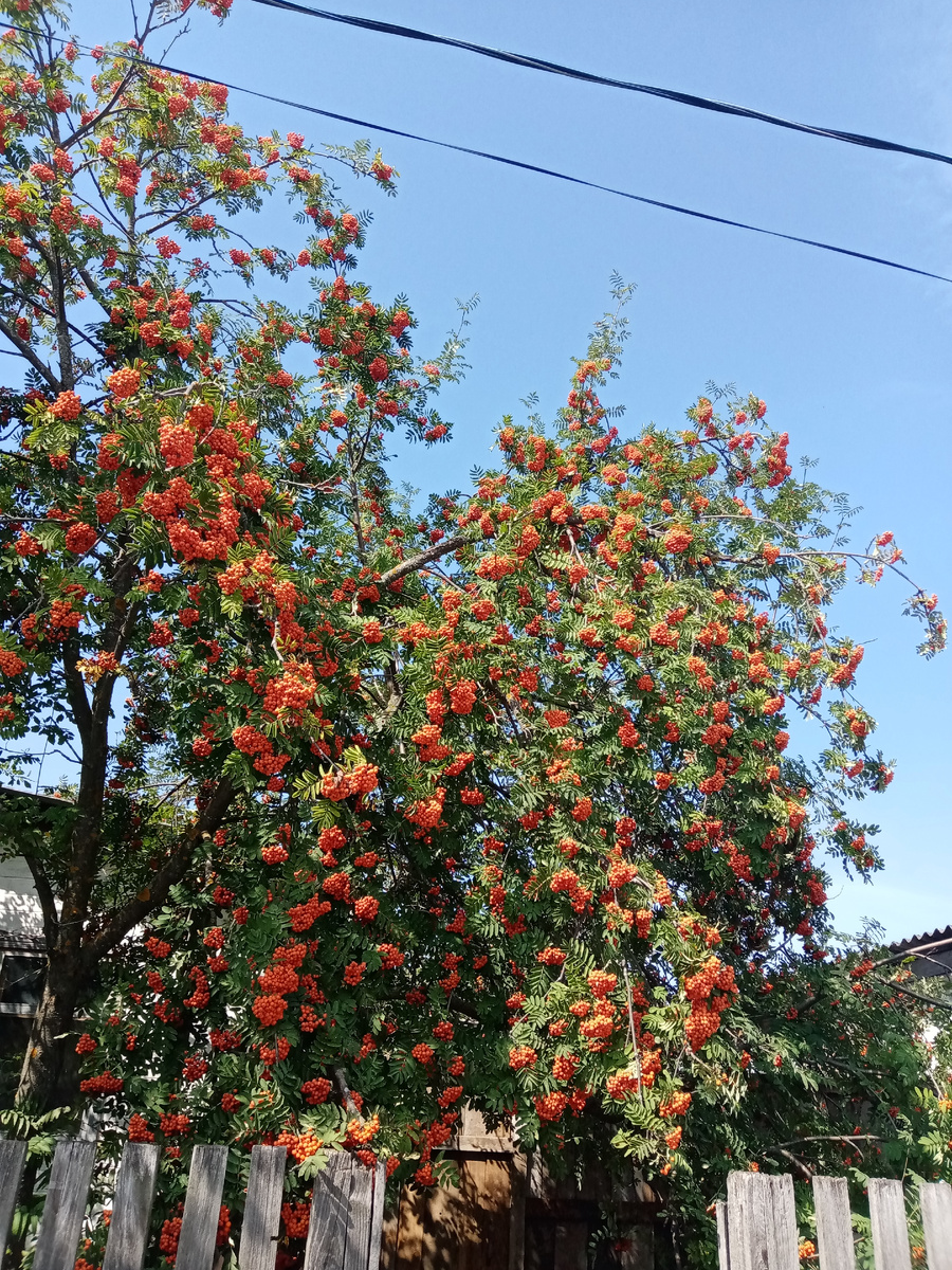 Просто проходила мимо, красиво! 