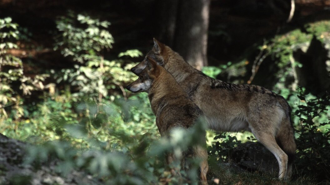    Konstantin Mikhailov/Globallookpress