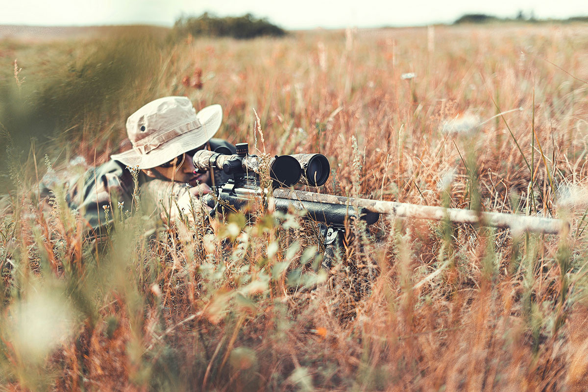    Изображение носит иллюстративный характер. Фото: Maxim Potkin / Unsplash.com