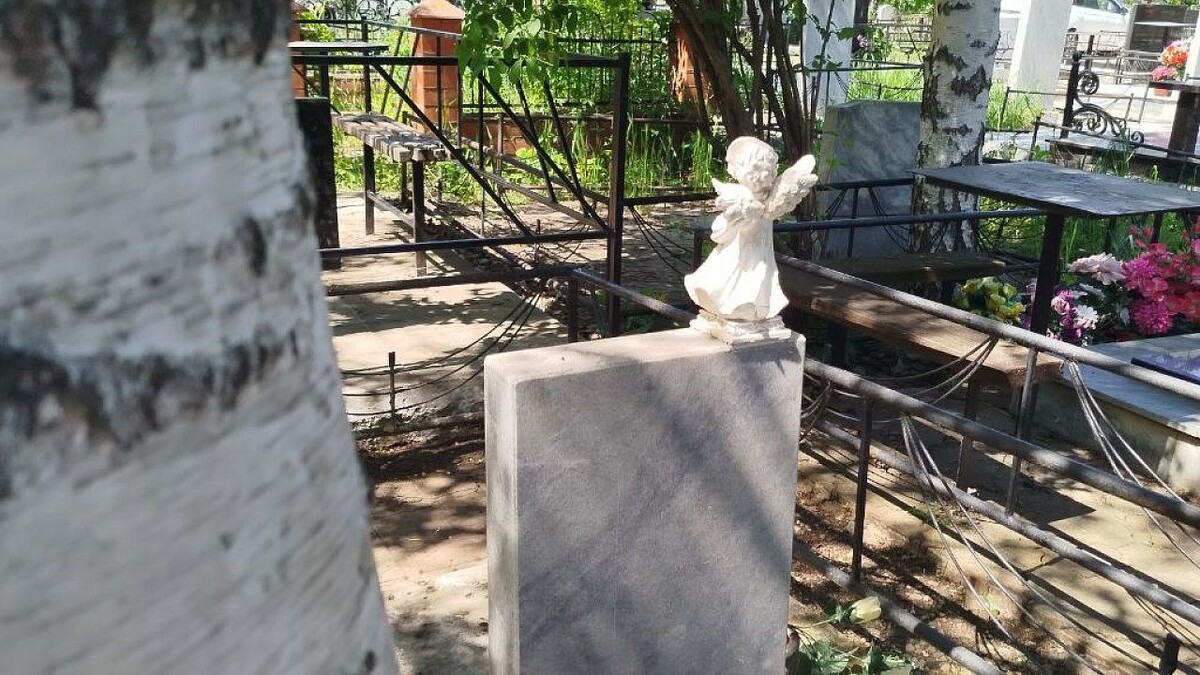    Фото: телеканал «Краснодар»