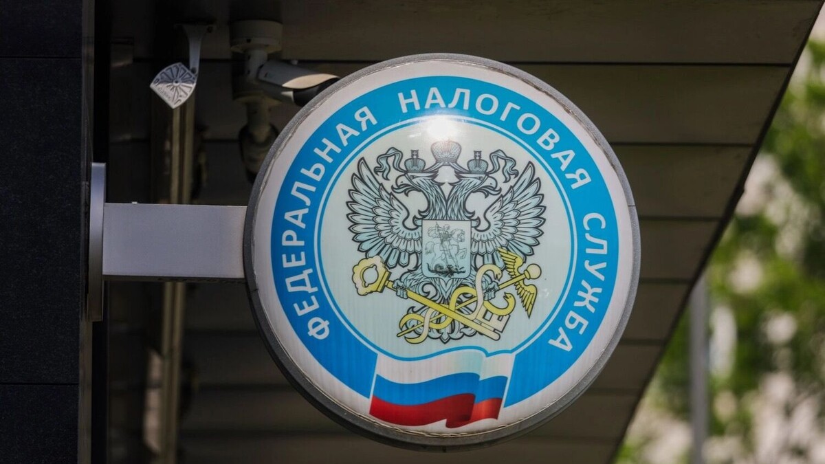 Налоги, штрафы, сборы — это теперь новая нефть. Фото: Наталья Шатохина. NEWS.ru/ТАСС