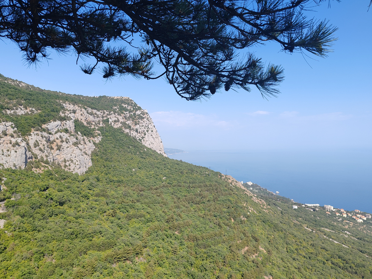 Фото автора канала. 