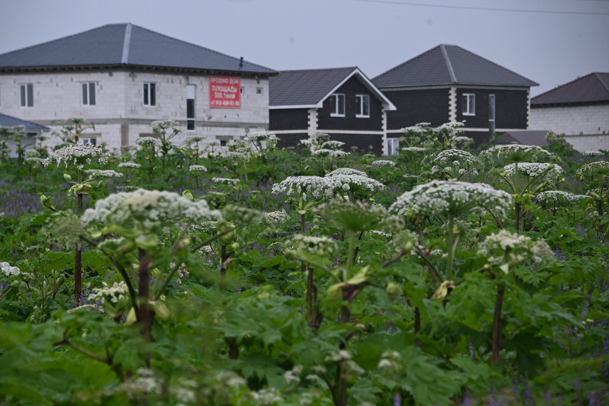 Автор фото: Владимир Веленгурин.