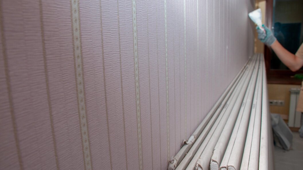    Фото: Svetlana Vozmilova/Globallookpress