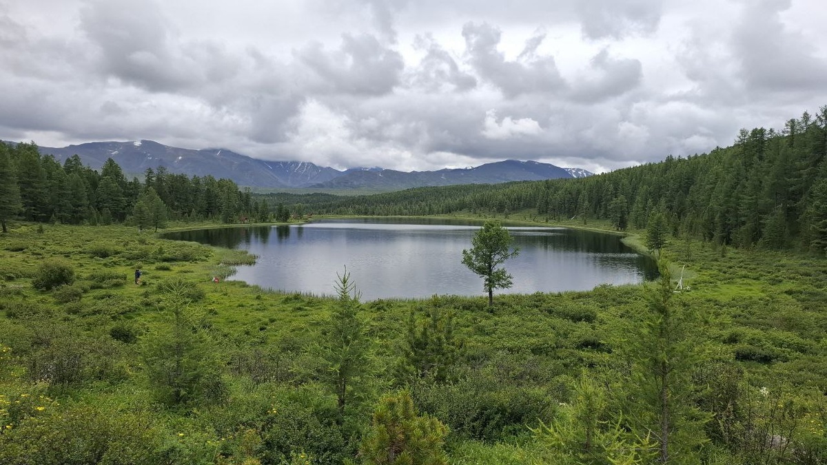 высокогорного озера на Улаганском плато