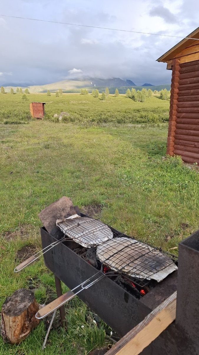 рыба на гриле 