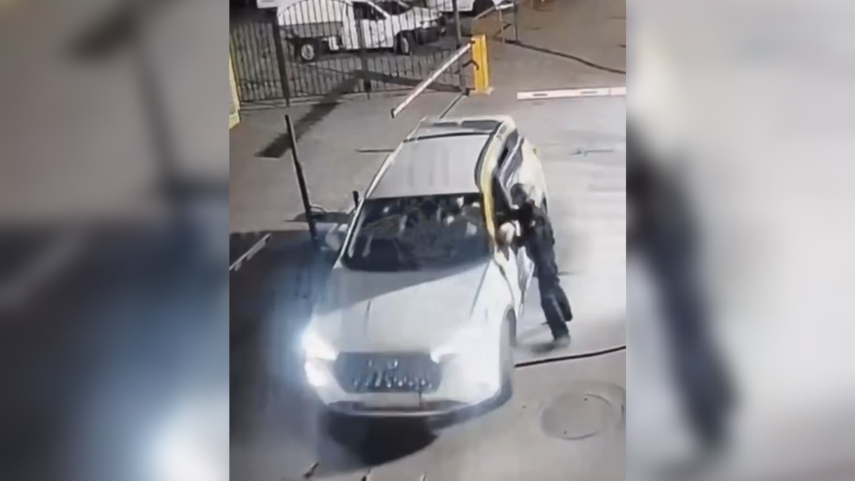 Автор: В. Панченко