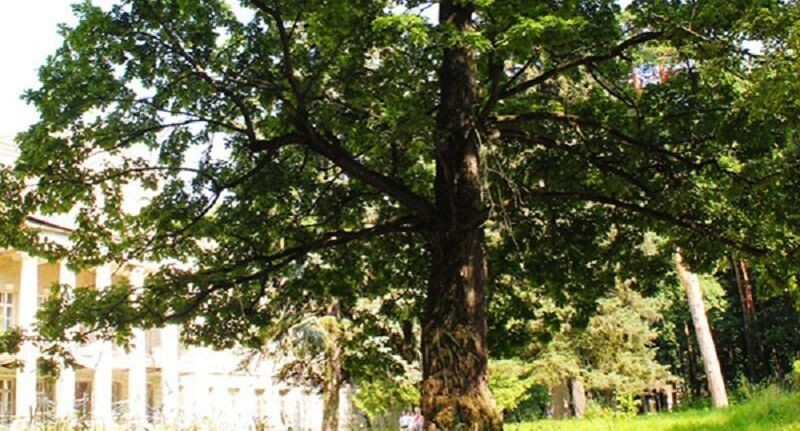    Фото М. Аргир