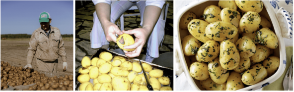 Ставьте варить картошечку, посыпайте укропчиком, и приятного прочтения.