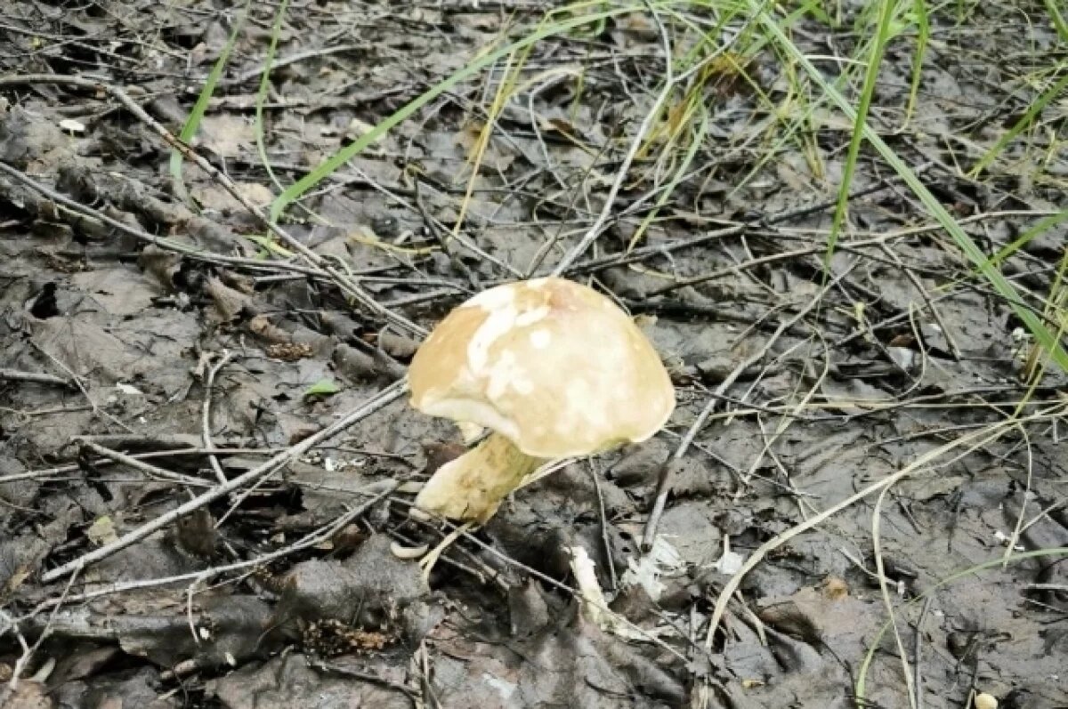    Соблюдай закон!