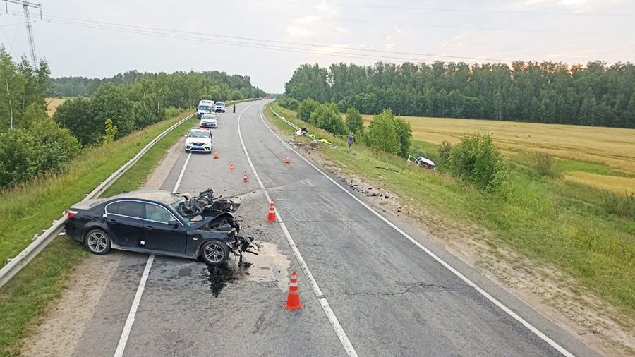    © Подмосковная полиция