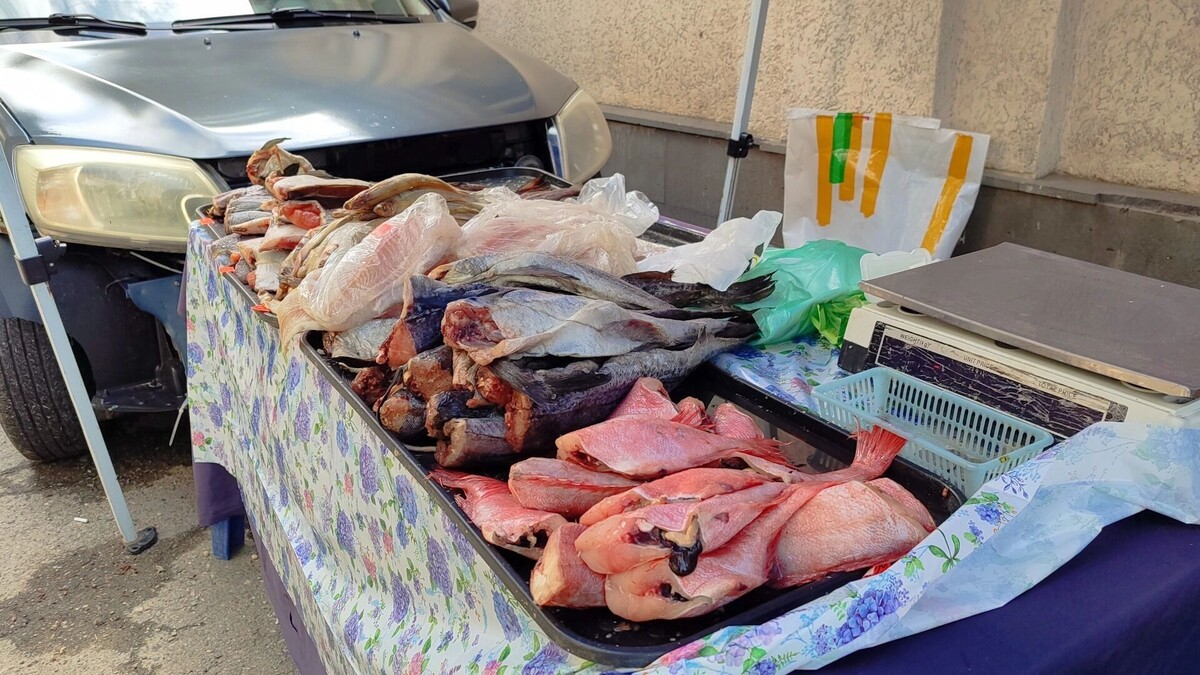     Источник: 1MI