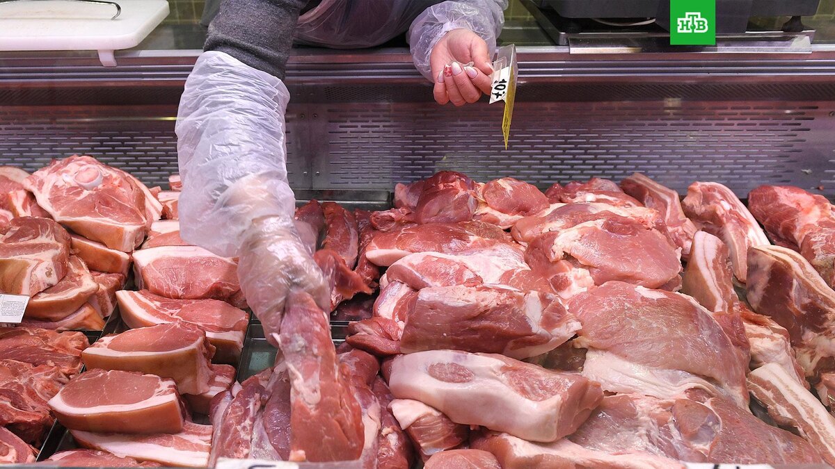    Фото: РИА Новости © 2025, Максим Блинов