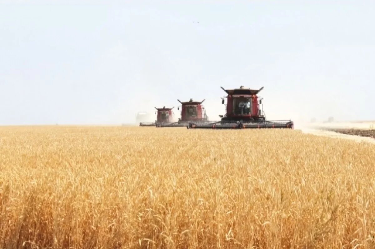    В хозяйствах Волгоградской области стартовала уборочная кампания