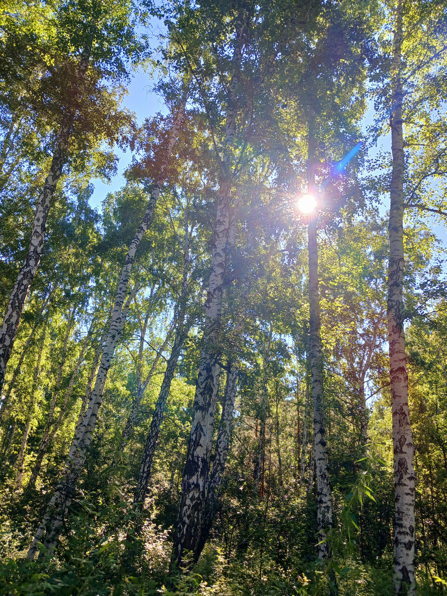 "Доброе утро, мир! Ты прекрасен!" Фото автора