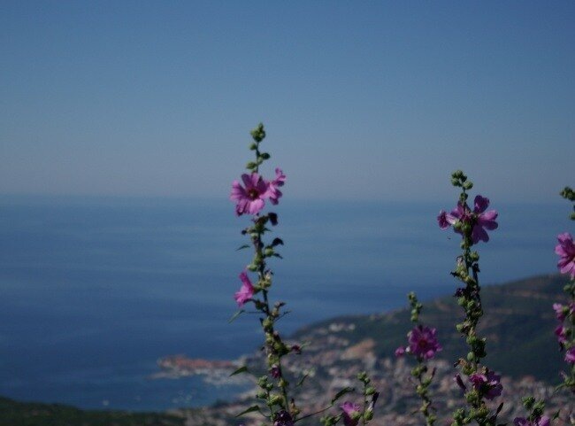 по дороге в Цетинье, оглядываясь назад