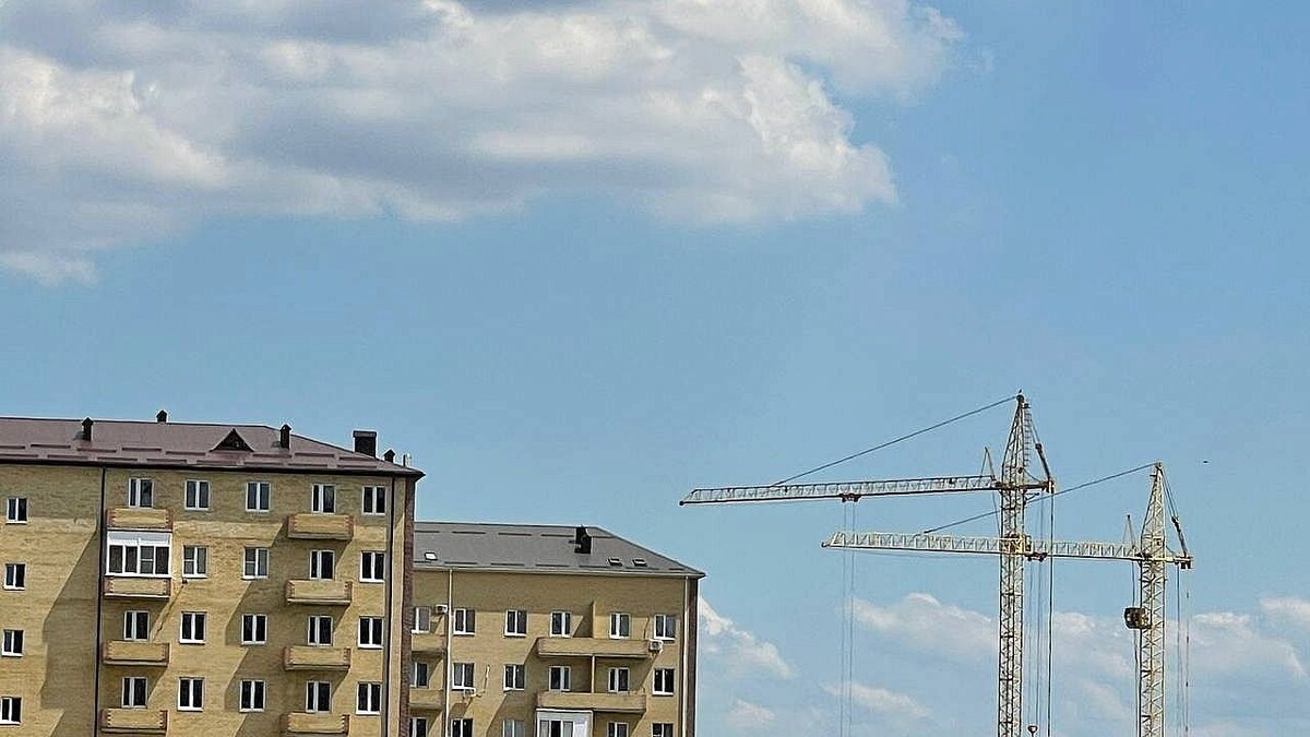    Фото: телеканал «Краснодар»