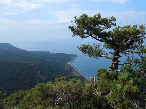 Заповедник "Утриш". Фото взято с официального сайта заповедника