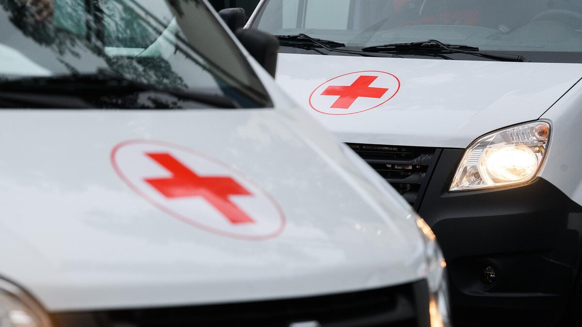    Фото: Ilya Moskovets/globallookpress.com