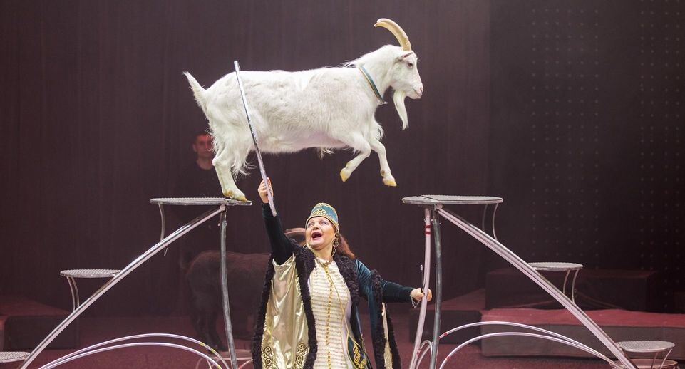    Aleksey Smyshlyaev/Global Look Press / www.globallookpress.com