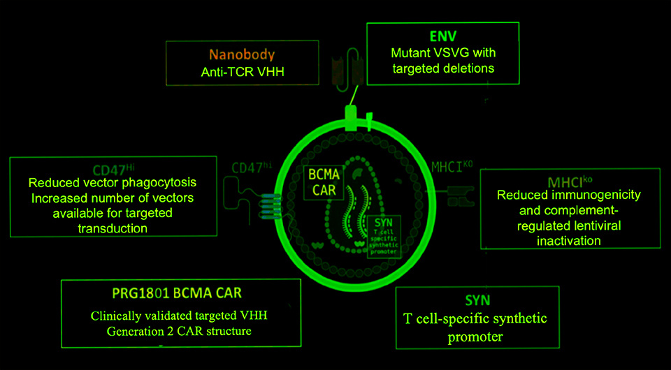   N + 1; Jia Xu et al. / The Lancet, 2025