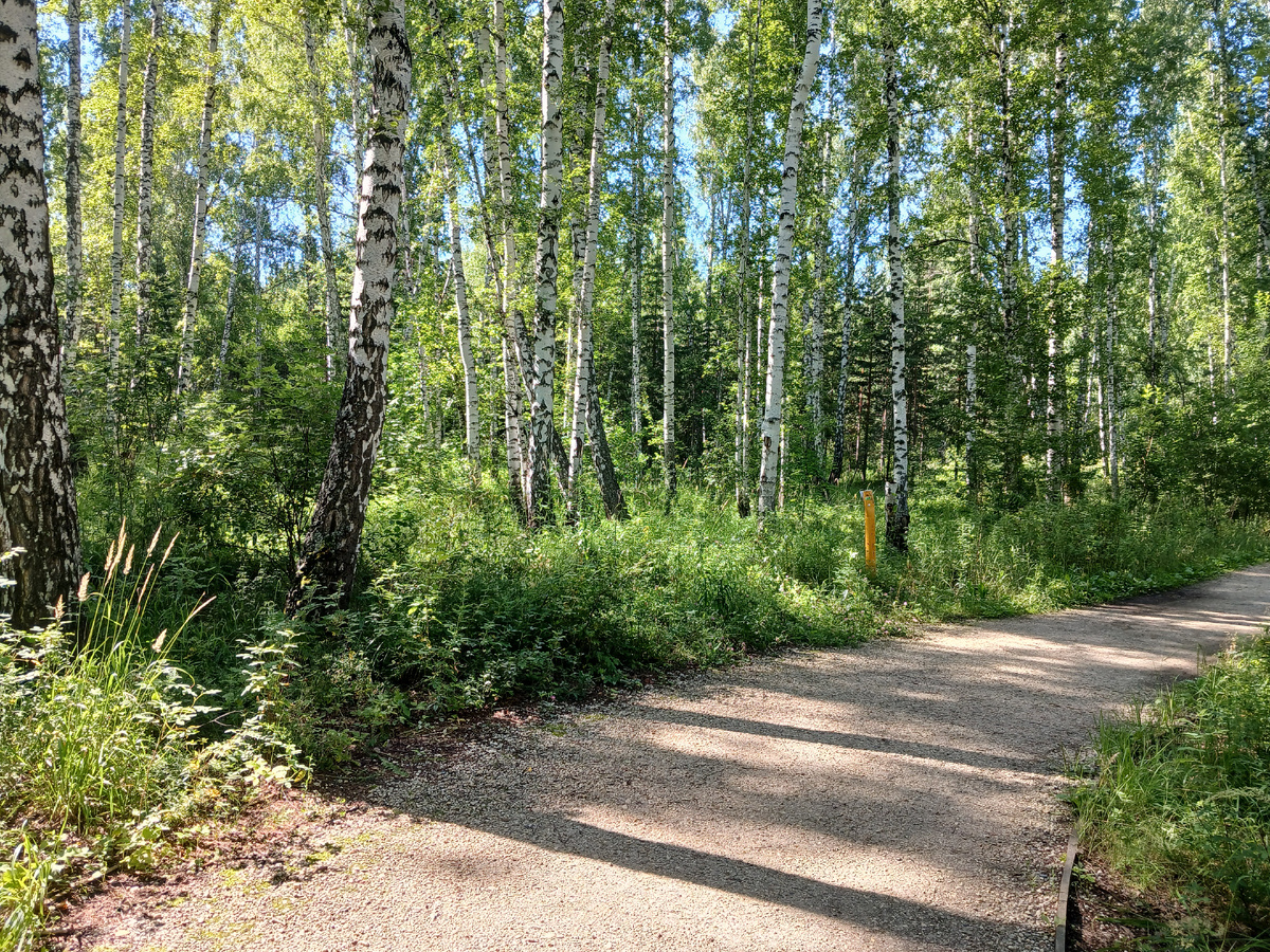 "Доброе утро, мир! Ты прекрасен!" Фото автора