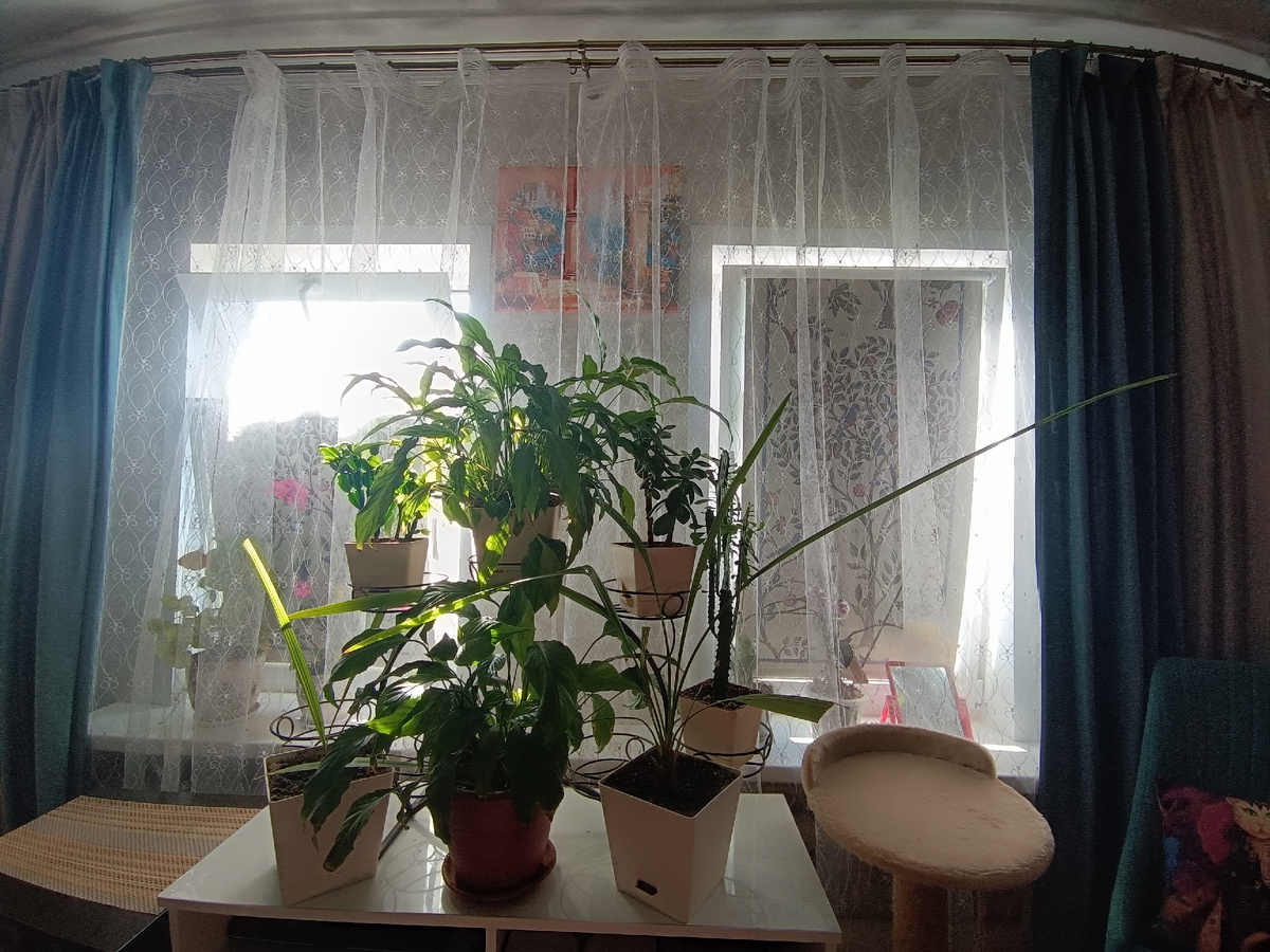 Это солнечным утром, без портьер. Понятно, что фрамуга открыта и сбоку свет проникает, но все равно видно, что это не блэкаут.