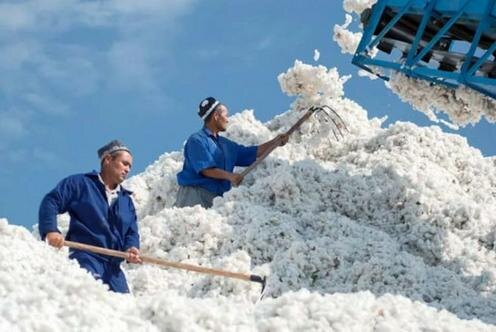 Фото с сайта ritmeurasia.ru