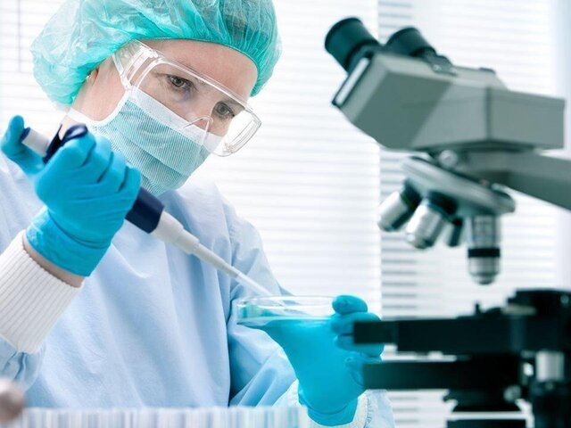    Фото: depositphotos/alexraths