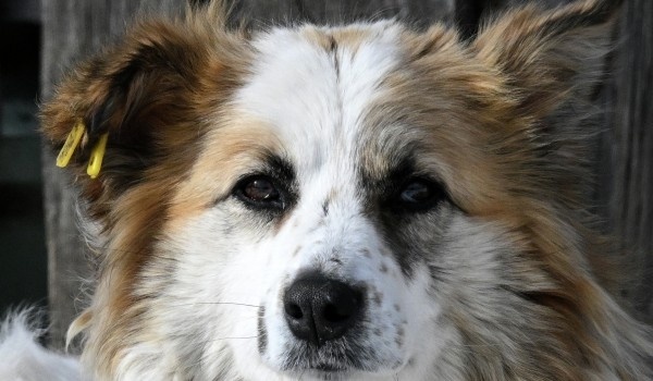 фото: РИА Новости/Илья Наймушин