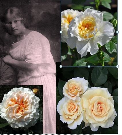 Бабушка в свадебном платье с отделкой из хлопчатобумажного шитья с вышивкой "ришелье", сделанной собственными руками. Дятьково, 1927 г.