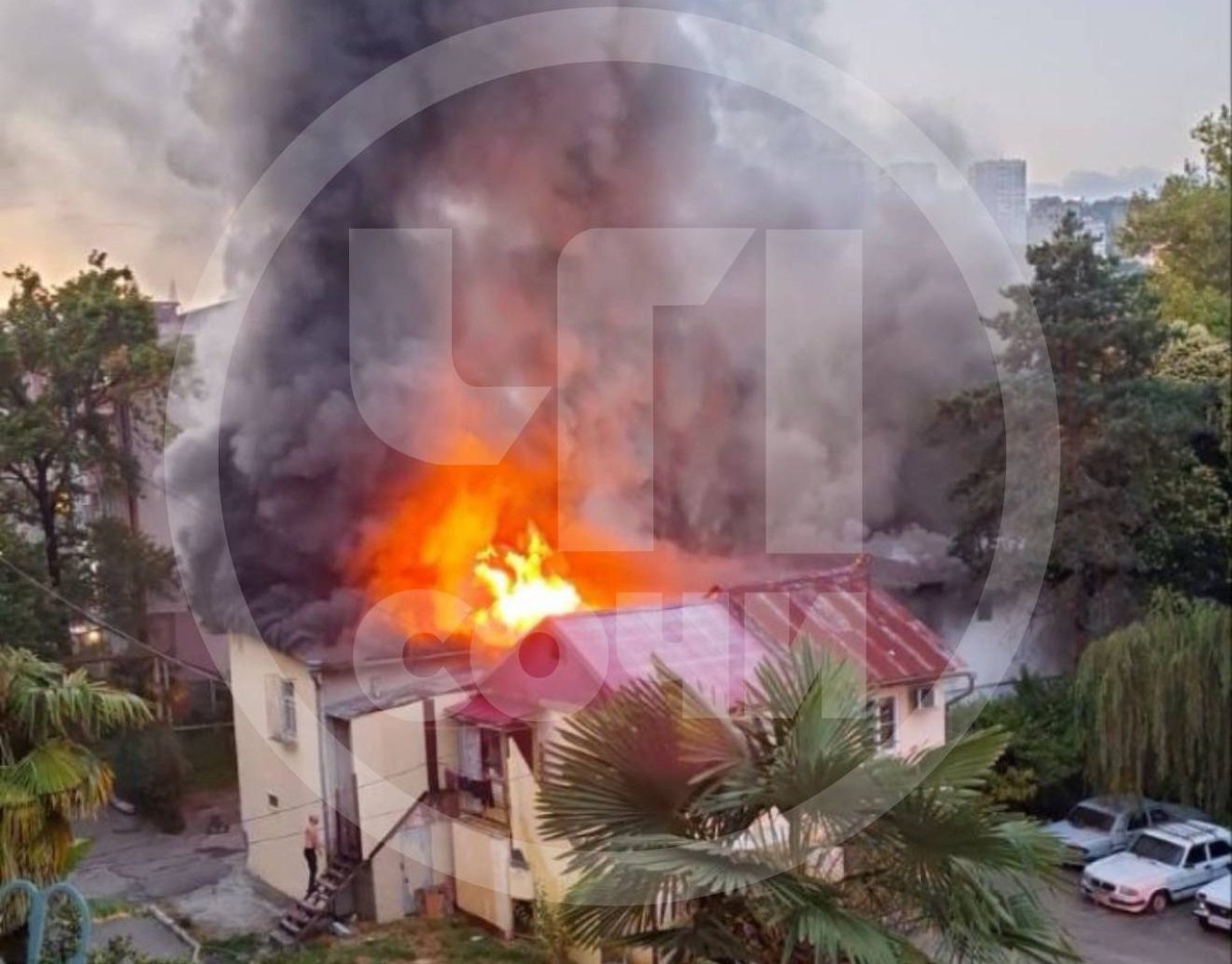 Фото: Telegram/ЧП Сочи  📷
