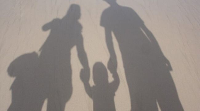    76% семей в ЕС не имеют детей. В Германии почти половина школьников — дети мигрантов