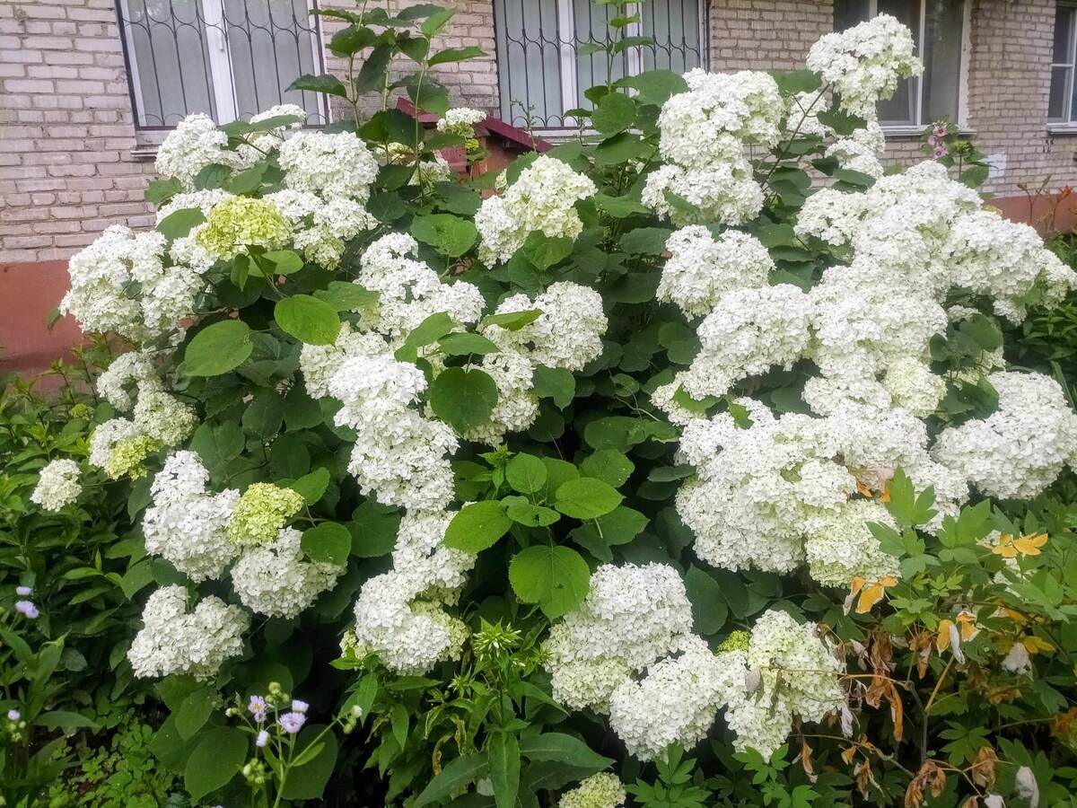 Фотография сделана автором 