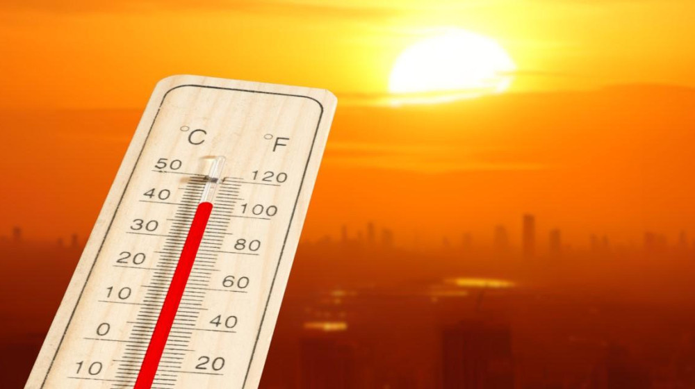    Аномальная жара в России 2024 как долго продлится этот адский зной