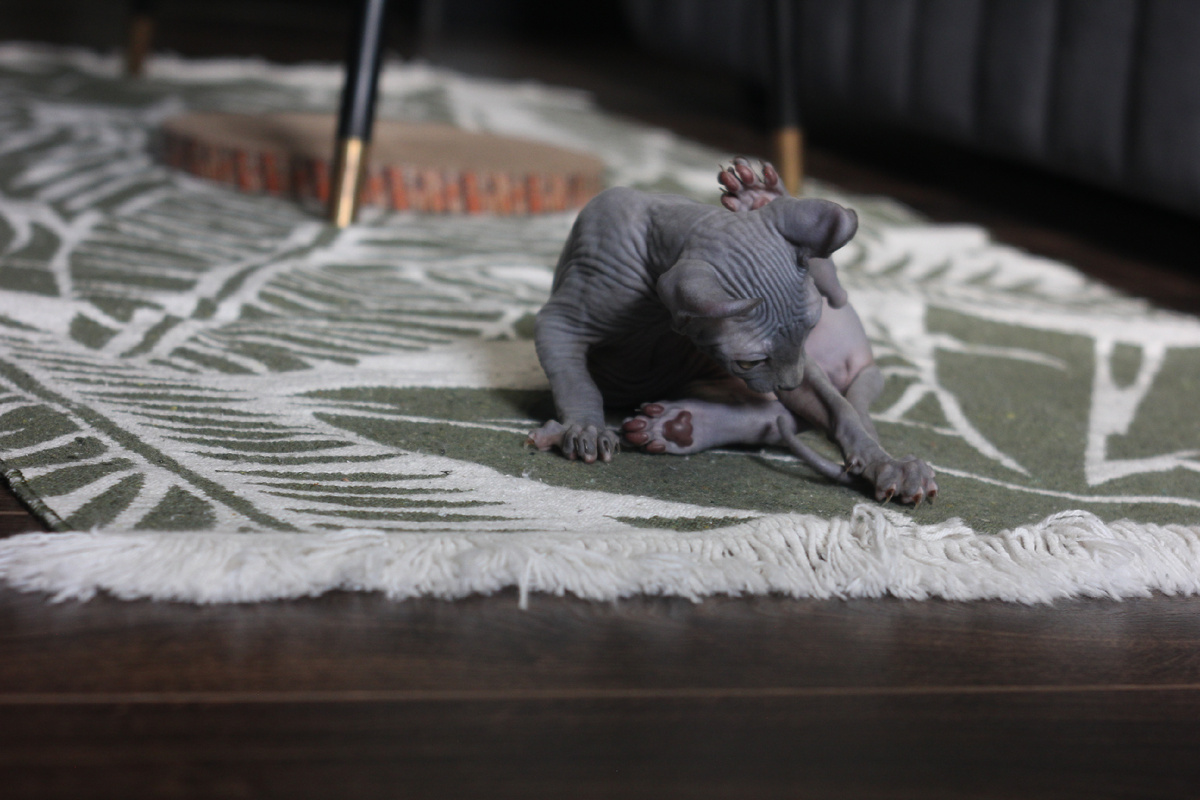 Элизабет качественно вылизывается с первых дней дома