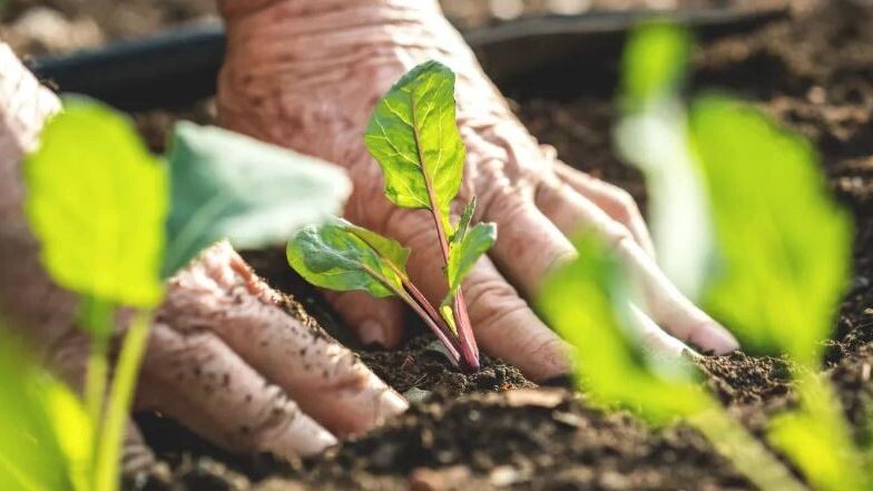    Фото: encierro/Shutterstock/Fotodom