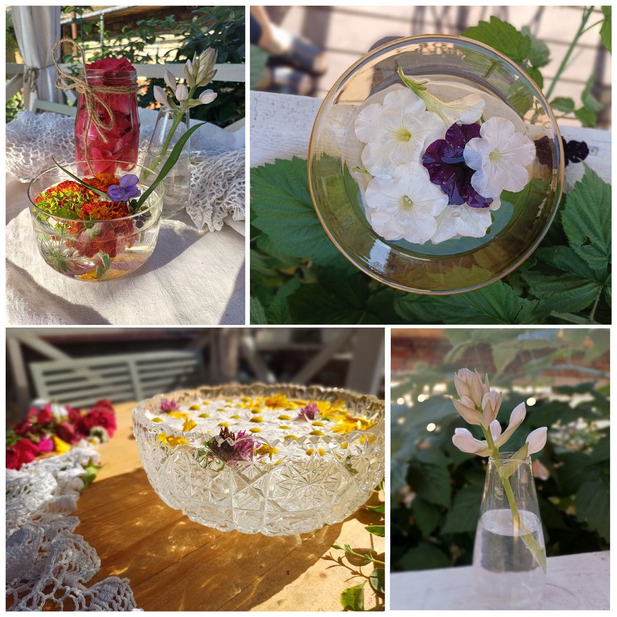 эти композиции мы с вами сегодня составим (фото автора)