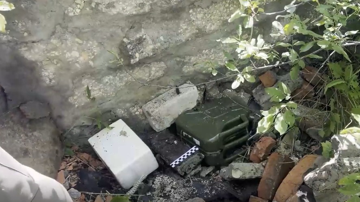    Фото: скриншот / ТАСС