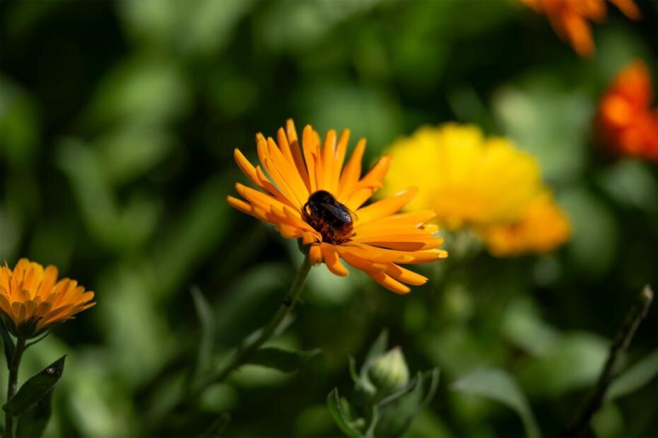    Oscar Olsson/Tt/Keystone Press Agency/Global Look Press