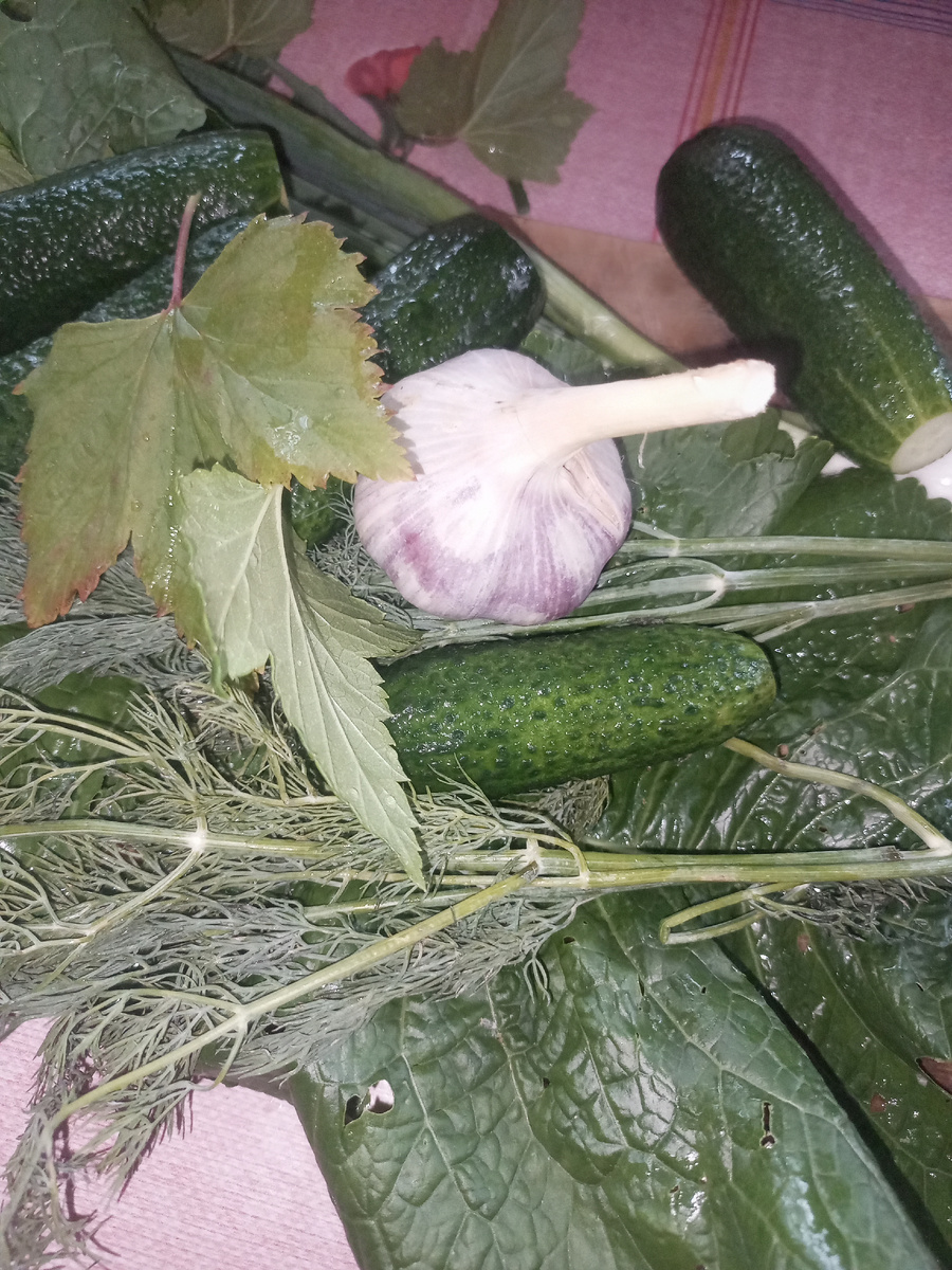 Подготовка. 