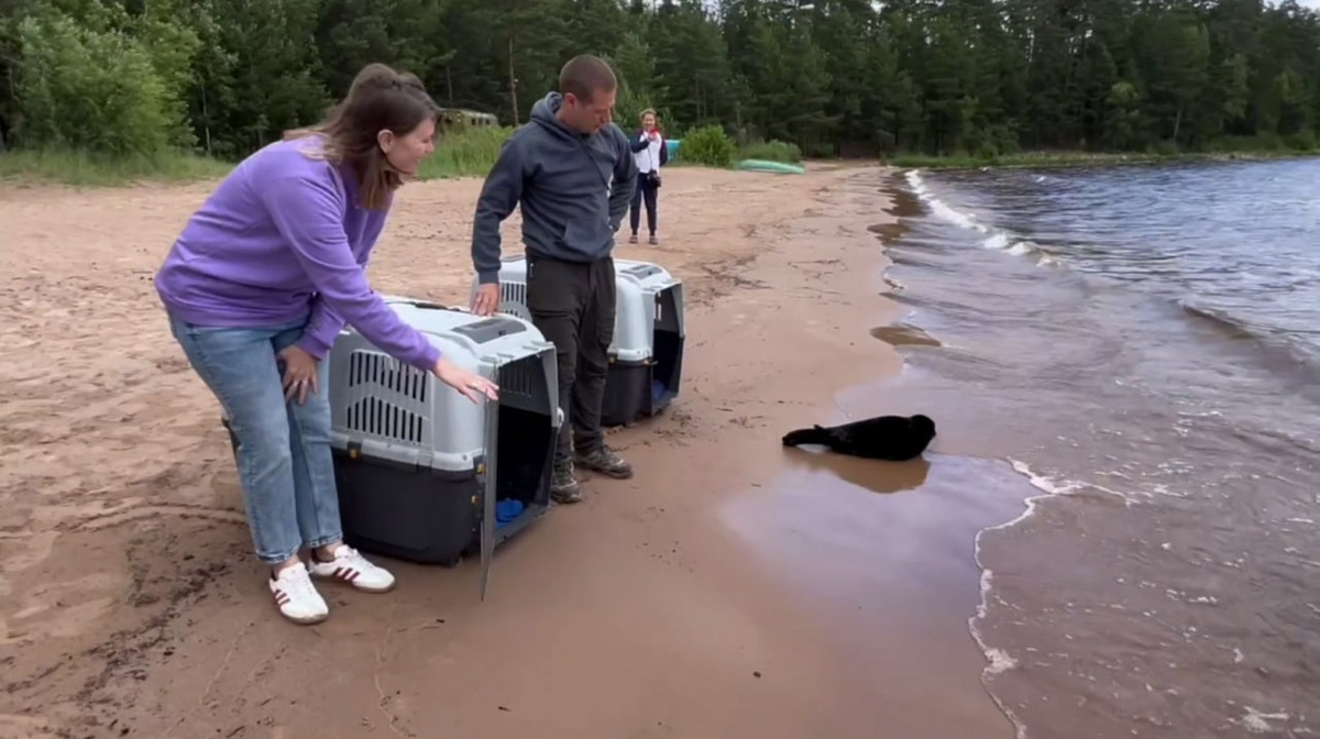 Фото: пресс-служба Водоканала Петербурга