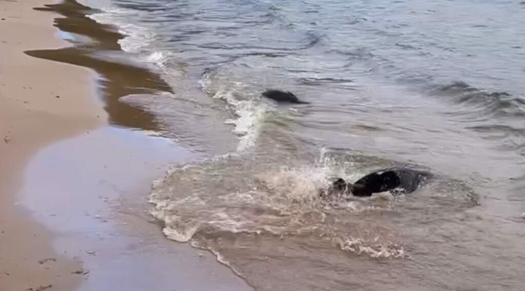    Фото: пресс-служба Водоканала Петербурга