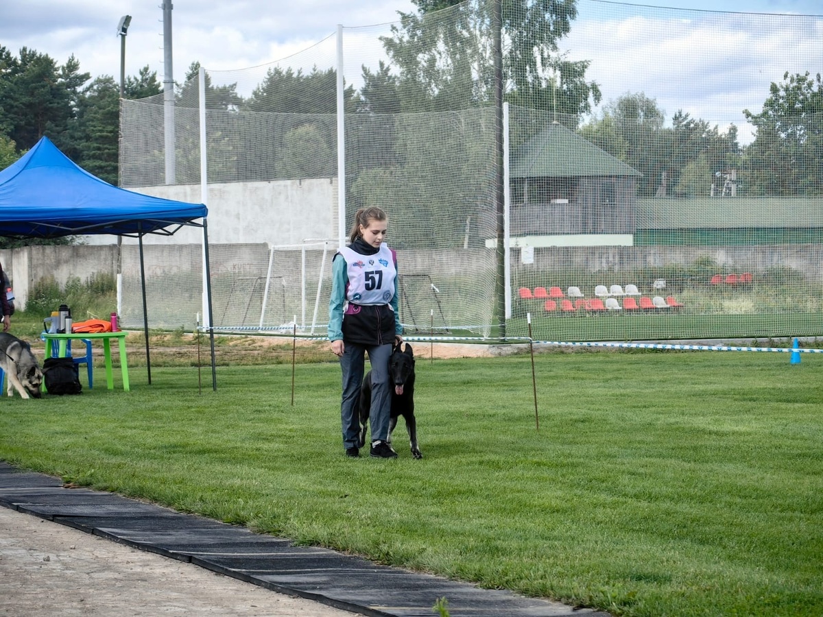 Выступление Абакумовой Елены и ВЕО Гранады на Кубке России по национальным видам дрессировки - 2025. Фото: Абакумова Елена