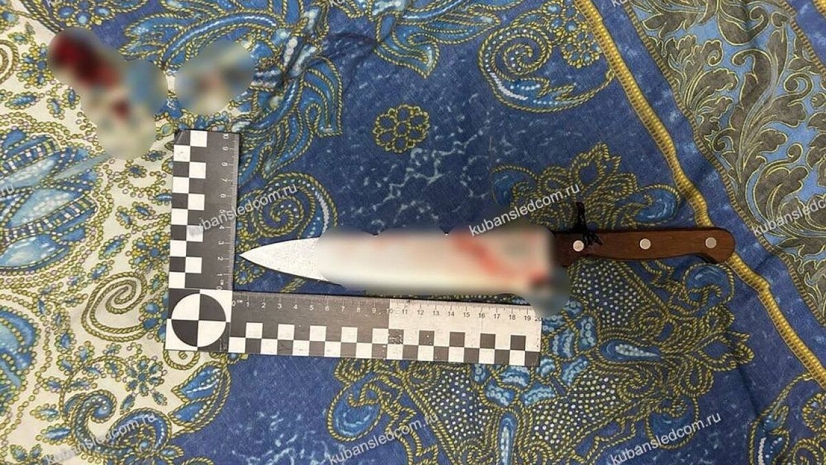    Фото: СУ СКР по Краснодарском краю