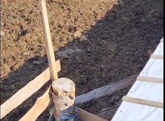    Фото и видео предоставлены героями публикации