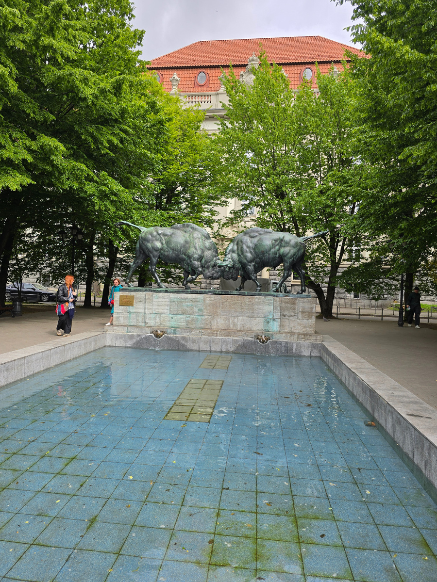 Борющиеся Зубры